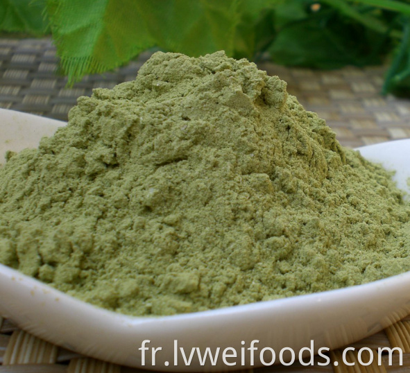 Dehydrated Scallion Powder